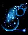 12 cung