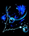 12 cung