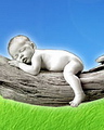 ngo nghinh