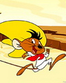 chuot