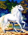White Horse