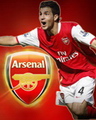 Arsenal - Fabregas
