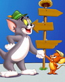 Tom & Jerry
