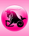 Zodiac - Capricorn