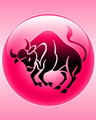 Zodiac - Taurus