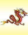 Tattoo - dragon
