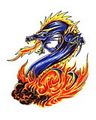 Tattoo - dragon