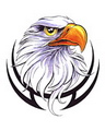 Tattoo - hawk