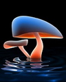 3D