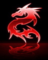 Dragon - red