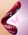 Lip
