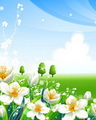 3D - Flower