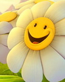 Smiling flower