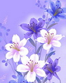 Art - Flower