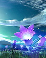 3D flowers