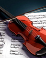 Violin