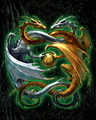 Dragons
