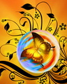 butterfly - art