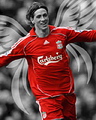Fernando Torres