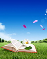 Flower - book
