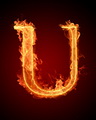 U