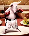 Đấu sĩ lợn