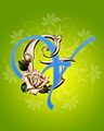 Gy