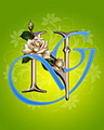 Ng