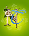 Nt