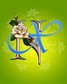 Nx