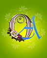 Oa