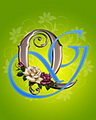 Qg