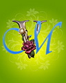 Vm