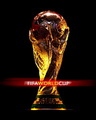 Fifa World Cup