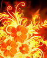 Fire Flower