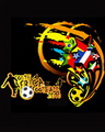 World Cup 2010