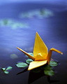 Hạc giấy