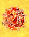 Rồng - Hổ
