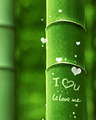 I love u