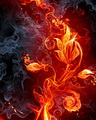Fire Flower