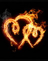 Hearts