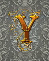 Y