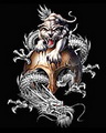 Long Hổ