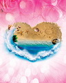 Summer Heart