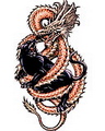 Doc dao 871048