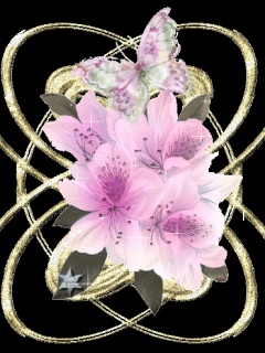 VipQua.Mobi