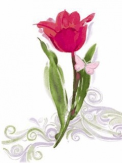 VipQua.Mobi