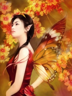 VipQua.Mobi