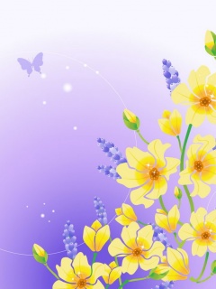 VipQua.Mobi