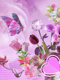 VipQua.Mobi